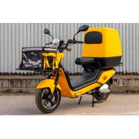 City Cat Delivery II