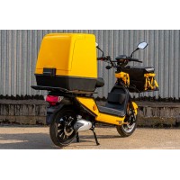 City Cat Delivery II