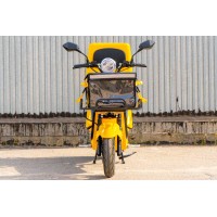 City Cat Delivery II