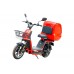 CITY CAT new (DELIVERY)