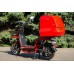 CITY CAT new (DELIVERY)