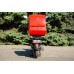 CITY CAT new (DELIVERY)
