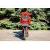CITY CAT new (DELIVERY)
