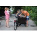 Riksha-1 (Black)