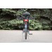 LAMA (DELIVERY)